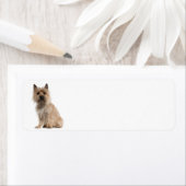 ケアンテリア差出人住所ラベル ラベル (インサイチュ)