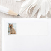 ケアンテリア差出人住所ラベル ラベル (インサイチュ)