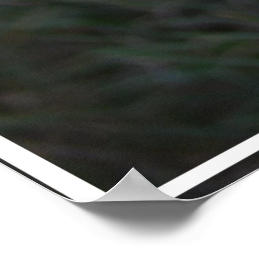 ケアンテリア顔 ポスター (角)