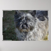 ケアンテリア顔 ポスター (正面)