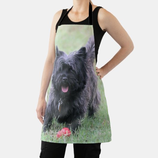 ケアン エプロン (インサイチュ)