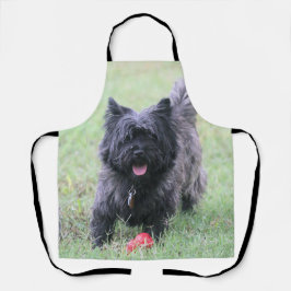 ケアン エプロン