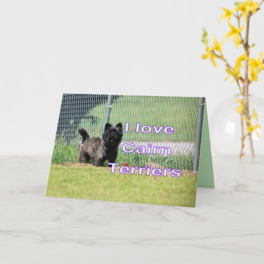 ケアン カード (黄色い花)