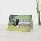 ケアン カード (正面)