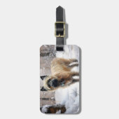 ケアン・テリアは雪のクリスマスを過ごした ラゲッジタグ (正面縦)