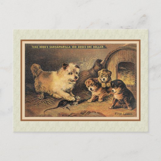 ケアン・テリア犬と彼女の子犬 ポストカード (正面)