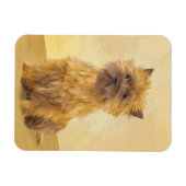 ケアン・テリア絵画ズ – かわいいオリジナルドッグアート マグネット (横)