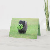 ケアン・テリア カード (正面)