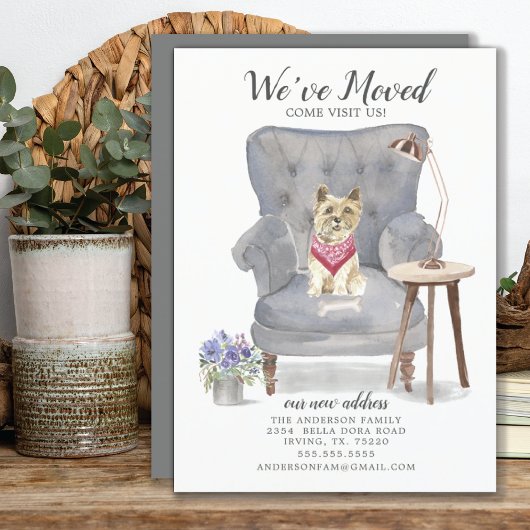 ケアン・テリア・ドッグ |お知らせ 案内状