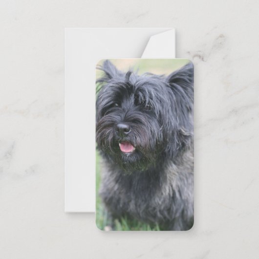 ケアン ノートカード (正面)