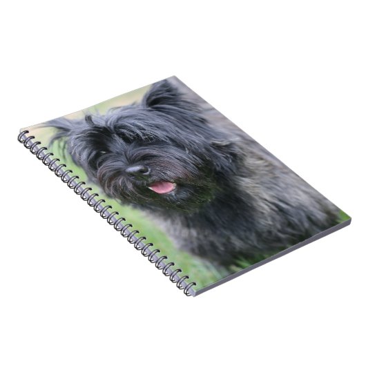 ケアン ノートブック (右側)