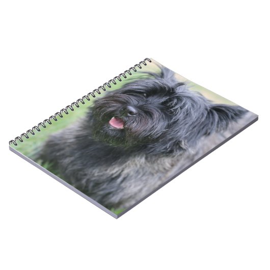 ケアン ノートブック (左側)