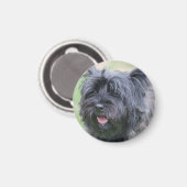 ケアン マグネット (正面/裏面)