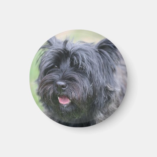 ケアン マグネット (正面)