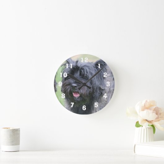 ケアン ラウンド壁時計 (ホーム)