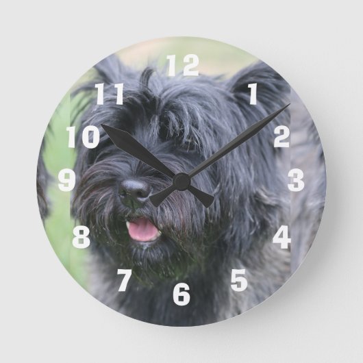 ケアン ラウンド壁時計 (正面)