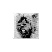 ケアン ラバースタンプ (インプリント)