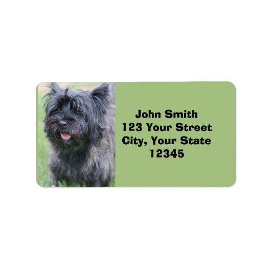 ケアン ラベル (正面)