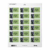 ケアン ラベル (フルシート)