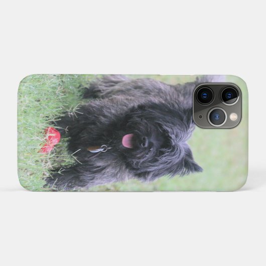 ケアン Case-Mate iPhoneケース (裏面(横))