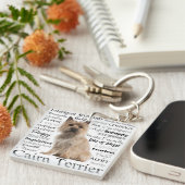 ケアーン・テリアの特性Keychain キーホルダー (正面右)