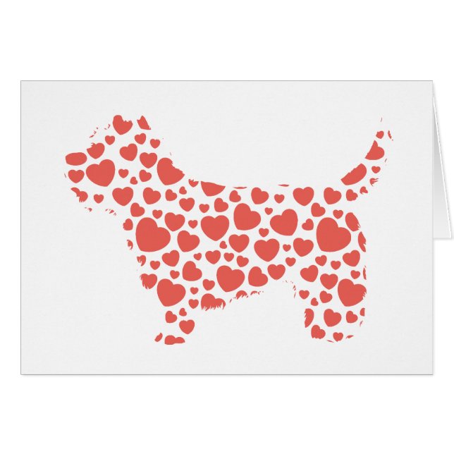 ケアーン・テリア (正面横)