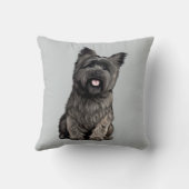 ケアーン・テリア クッション (裏面)