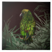 ケア タイル (正面)