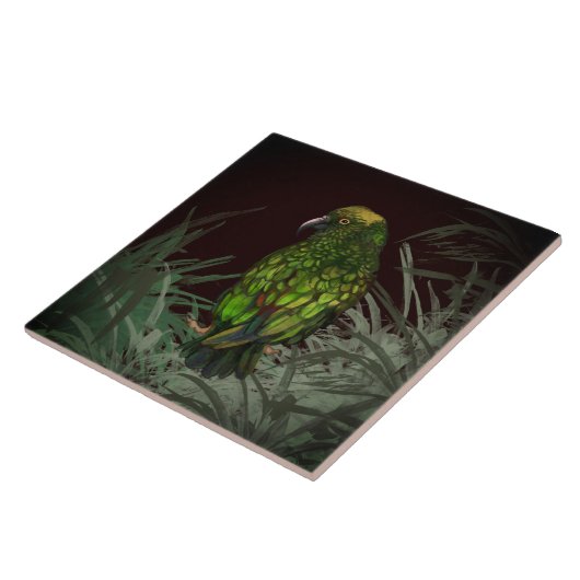 ケア タイル (側面)