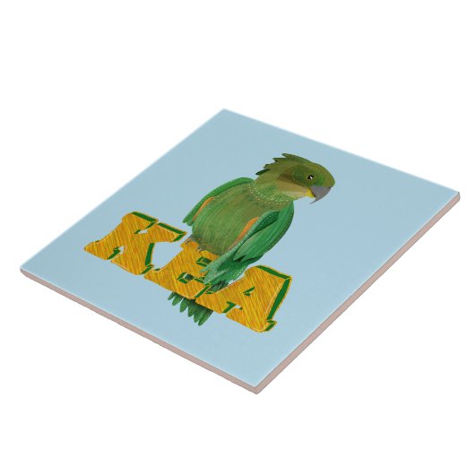 ケア タイル (側面)