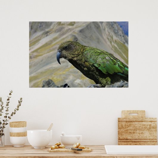 ケア ポスター (キッチン)