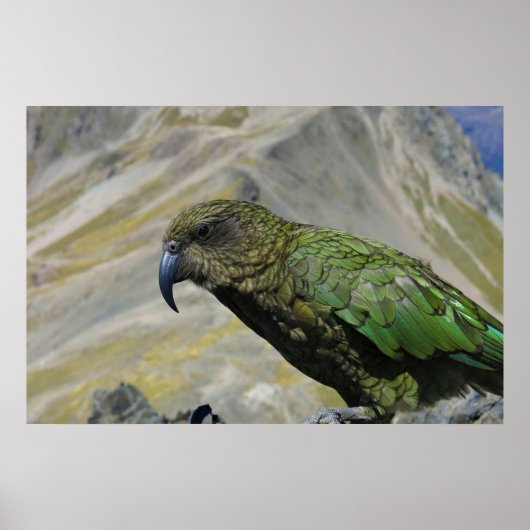 ケア ポスター (正面)