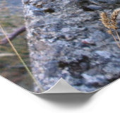 ケア ポスター (角)