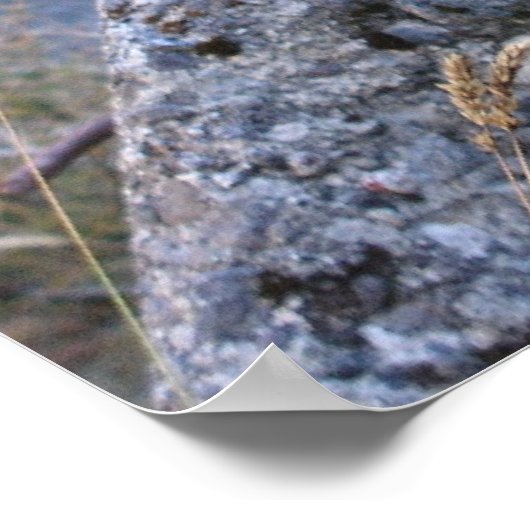 ケア ポスター (角)