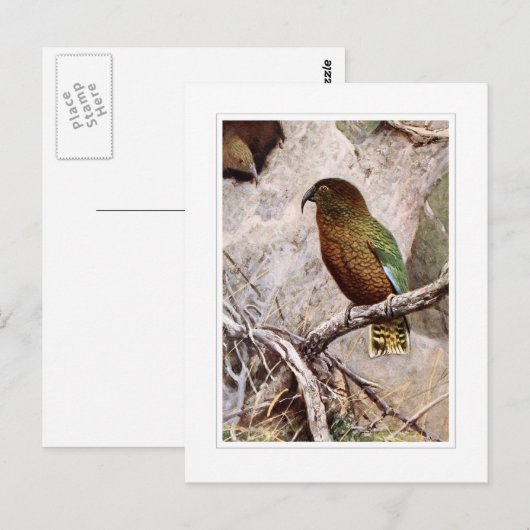 ケア ポストカード (正面/裏面)