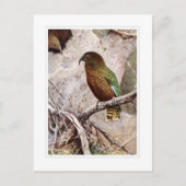 ケア ポストカード (正面)