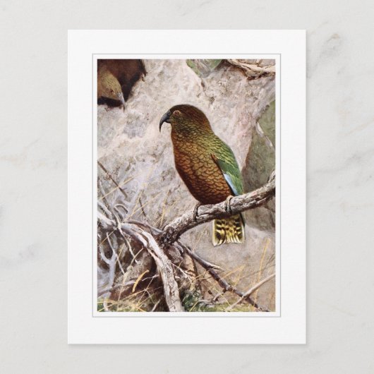 ケア ポストカード (正面)