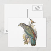 ケア ポストカード (正面/裏面)