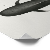 ケイイングパイロットクジラヴィンテージプリント海洋生物学 ポスター (角)