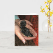 ケイウガふ化場 カード (黄色い花)