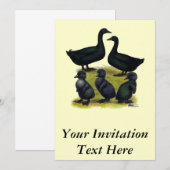 ケイガダックファミリー 招待状 (正面/裏面)