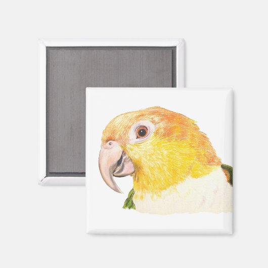 ケイク磁石 マグネット (正面/裏面)