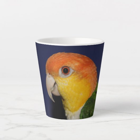ケイケカラフルパロット カフェラテマグ (正面)