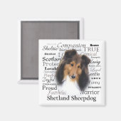 ケイシー特性 マグネット (正面/裏面)