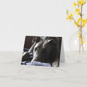 ケイシー・ザ・グレイハウンド カード (黄色い花)