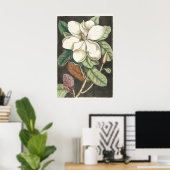 ケイツビー マグノリアの古風な植物画 ポスター (ホームオフィス)