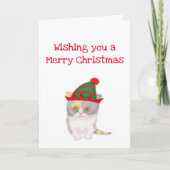 ケイティはクリスマスのカードを欲しがる子猫 カード (正面)