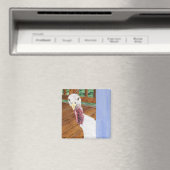 ケイティ マグネット (インサイチュ (食洗機))