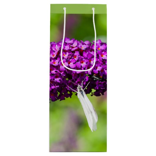 ケイディドエナジーワイン抱き枕 ワインギフトバッグ (正面)