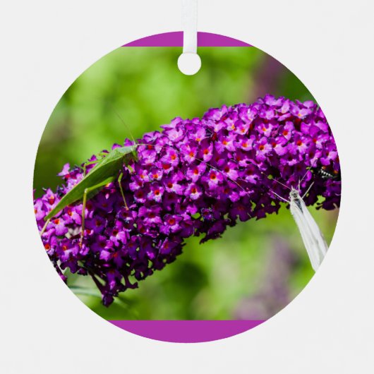 ケイディドエネルギセラミックオーナメント メタルオーナメント (正面)